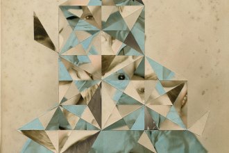 The Parrot in the Machine