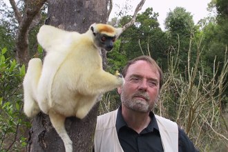 For the Fossil Record