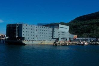 Rolling with the Economic Tides