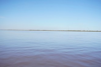 When a Salmon Strays